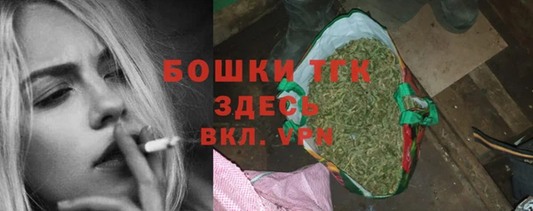 прущая мука Арсеньев