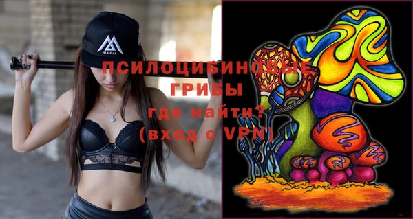 тгк Алексин